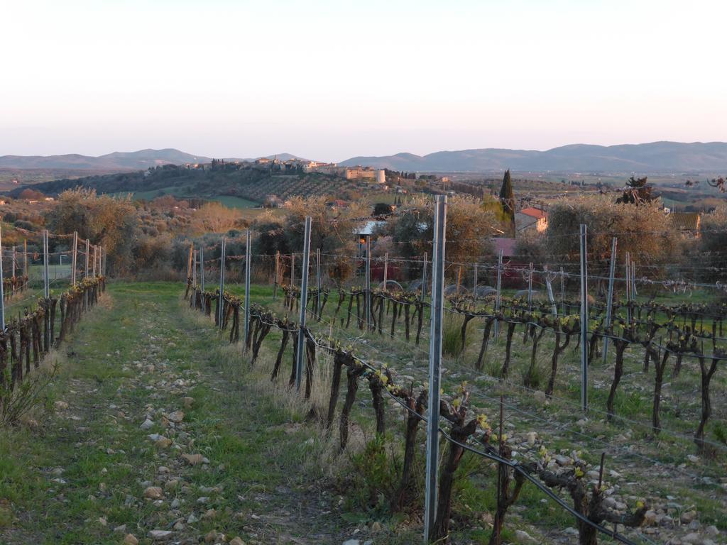 Campospillo Magliano in Toscana Exterior foto