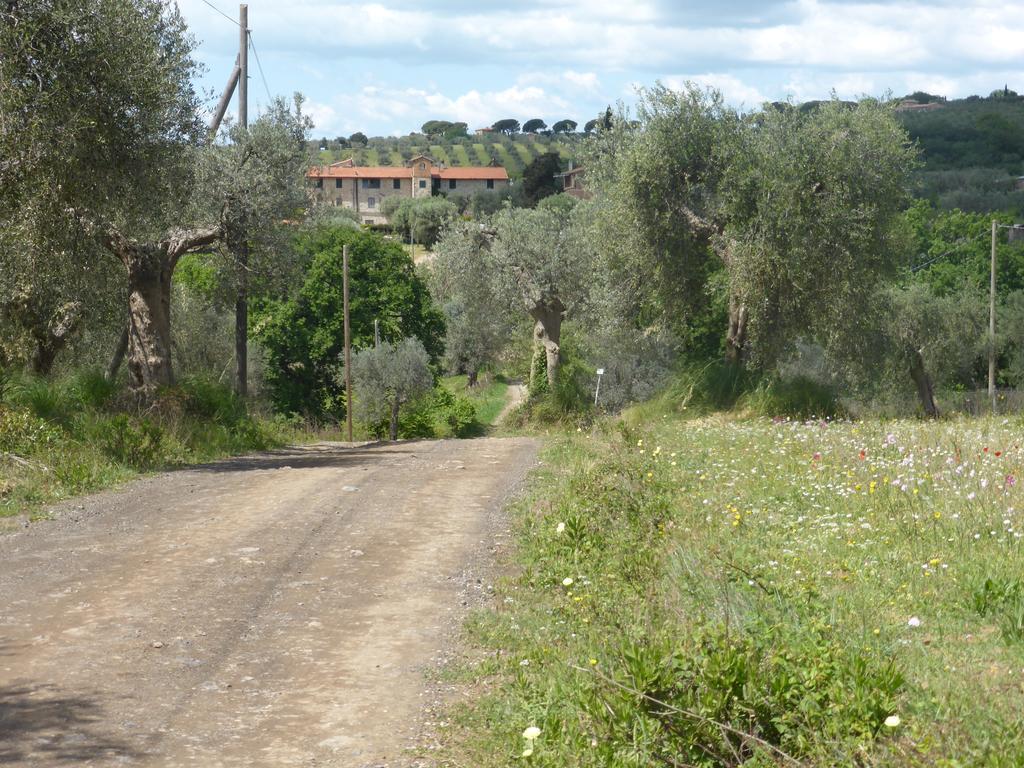 Campospillo Magliano in Toscana Exterior foto