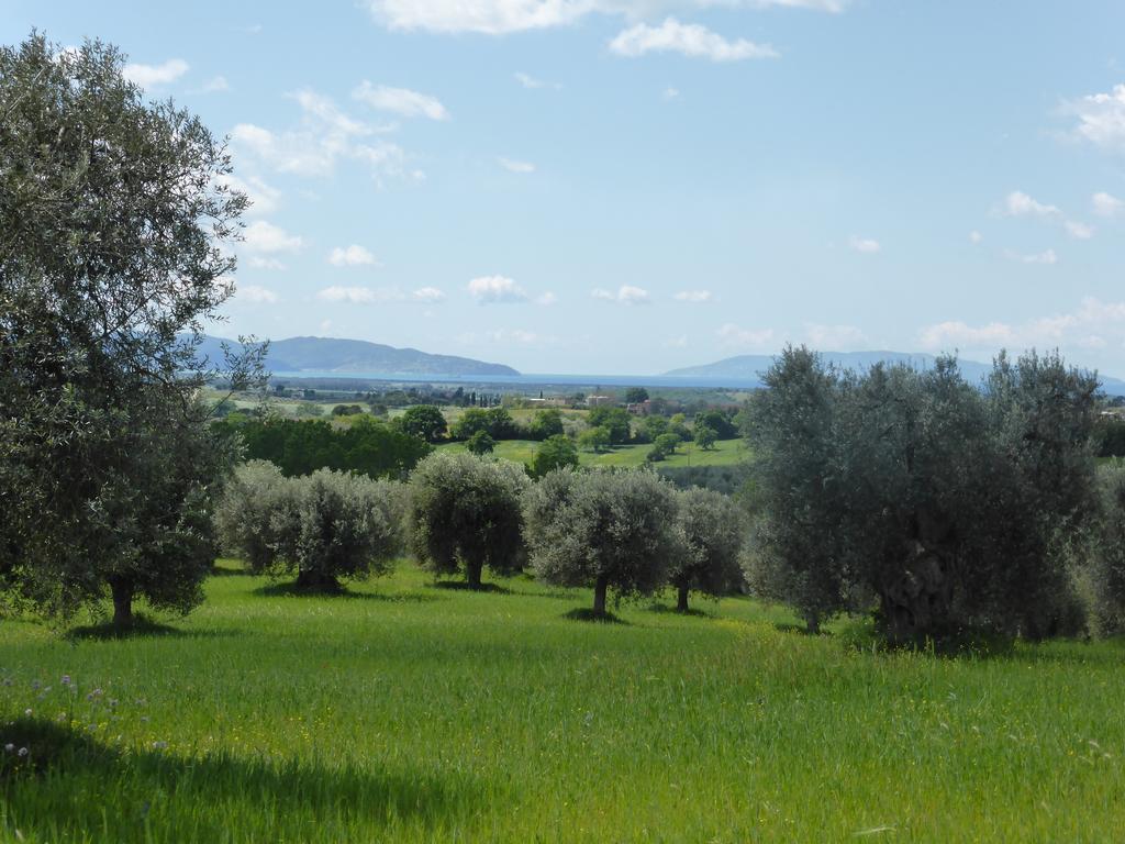 Campospillo Magliano in Toscana Exterior foto