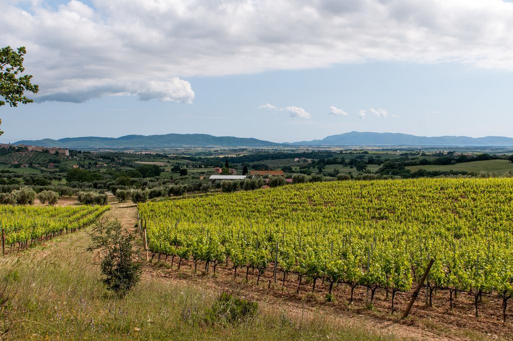 Campospillo Magliano in Toscana Exterior foto