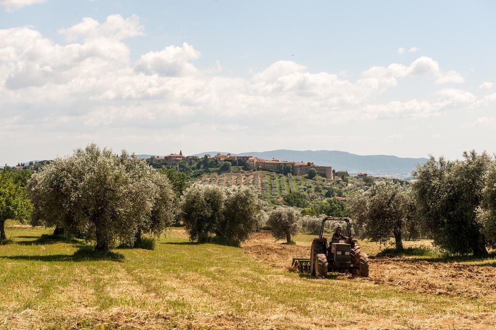 Campospillo Magliano in Toscana Exterior foto